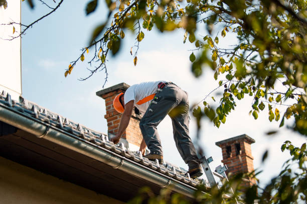 Best Storm Damage Roof Repair  in Angola, IN