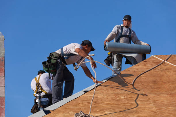 Best Roof Gutter Cleaning  in Angola, IN