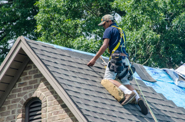 Roof Gutter Cleaning in Angola, IN